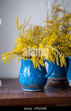 Strauß Mimosablüte in blauer Keramikvase über weißer Wand zu Hause. Akazien Dealbata, Frühling. Stockfoto