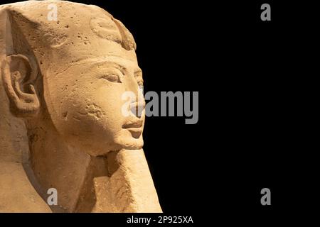 Turin, Italien - ca. Juli 2021: Ägyptische Archäologie. Alte Sphinx in Sandstein, der den pharao darstellt, kopieren Raum Stockfoto