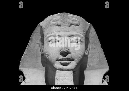 Turin, Italien - ca. Juli 2021: Ägyptische Archäologie. Alte Sphinx in Sandstein, der den pharao darstellt, kopieren Raum Stockfoto