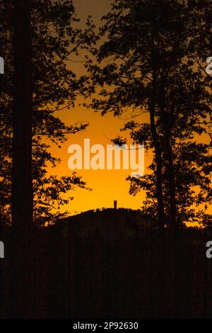 Der Wurmberg im Harz bei Sonnenuntergang Stockfoto