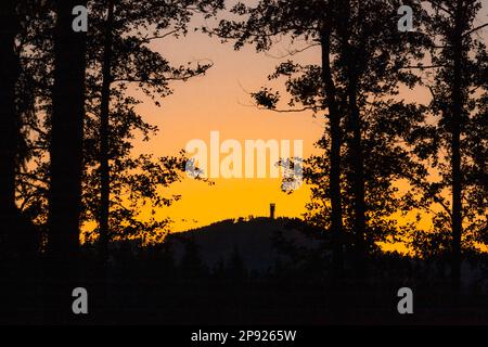 Der Wurmberg im Harz bei Sonnenuntergang Stockfoto