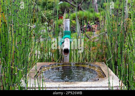 Springbrunnen mit Bambusrohr im japanischen Stil Stockfoto