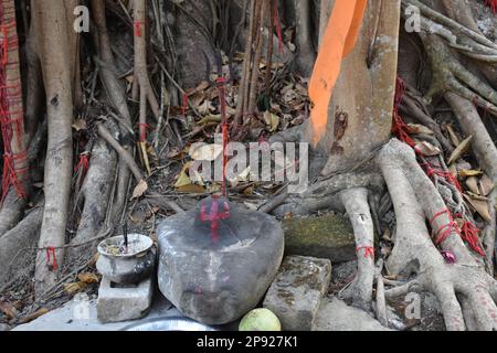 Eine Shivalinga unter einem banyan-Baum in Unokoti , Tripura , Indien . Stockfoto