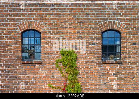 Ueckermuende Mecklenburg-Vorpommern Landkreis Westpommern Greifswald Fenster am Kulturspeicher in der Bergstraße Deutschland Europa Stockfoto