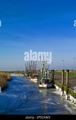 Spieka Neufeld, vereister Cutter-Hafen, Bezirk Cuxhaven, Deutschland Stockfoto