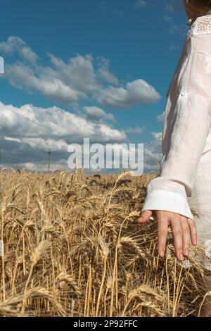 Die Hand eines ukrainischen Mädchens berührt die Weizenohren mit der Hand vor dem Hintergrund eines Feldes. Symbol der ukrainischen Freiheit. Das Konzept von fe Stockfoto