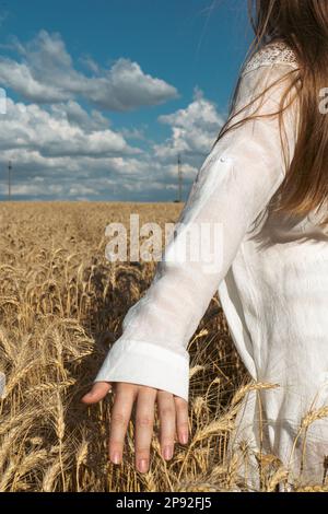 Die Hand eines ukrainischen Mädchens berührt die Weizenohren mit der Hand vor dem Hintergrund eines Feldes. Symbol der ukrainischen Freiheit. Das Konzept von fe Stockfoto