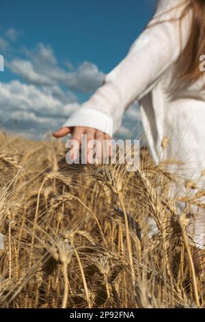 Die Hand eines ukrainischen Mädchens berührt die Weizenohren mit der Hand vor dem Hintergrund eines Feldes. Symbol der ukrainischen Freiheit. Das Konzept von fe Stockfoto