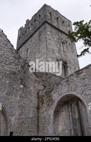 Friary Ruins of Muckross Abbey, Killarney National Park CO Kerry EIRE Stockfoto