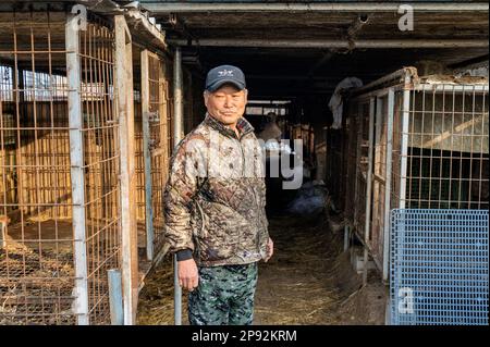 Asan, Südkorea. 08. März 2023. Bauer Yang wird am Dienstag, den 7. März 2023, auf seiner Hundefleischfarm in Asan, Südkorea, gezeigt. Die Farm schließt, da der Handel mit Hundefleisch unter den sich ändernden sozialen Einstellungen und gesundheitlichen Bedenken weiter schrumpft. Foto: Thomas Maresca/UPI Credit: UPI/Alamy Live News Stockfoto