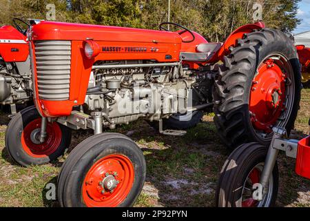 Fort Meade, Florida - 26. Februar 2022: Aus der Perspektive eines Massey Ferguson 65 aus dem Jahr 1964 auf einer lokalen Traktormesse. Stockfoto