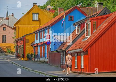 Norwegen, Oslo, die skurrilen Holzhäuser aus dem 18. Jahrhundert im Damstredet-Viertel und das nahe gelegene Telthusbakken sind eine nette Abwechslung vom modernen A Stockfoto