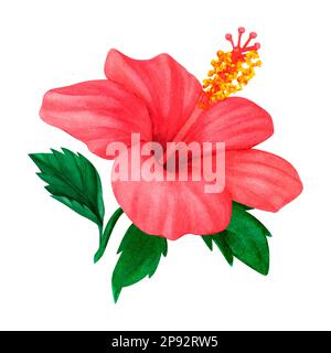 Handgemalte Aquarelle mit Blumenmuster und rotem Hibiskus. Perfekt für Karten, Postkarten, Anhänger, Einladungen, Ausdrucke, Verpackt, Hochzeit. Designer-Element Stockfoto