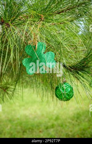 Am St. Patricks Day glitzernder Shamrock und grüne Ornamente, die in einer Kiefer hängen Stockfoto