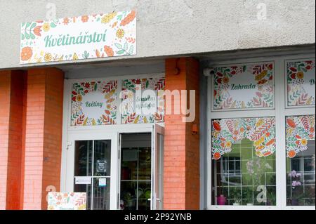 HAVIROV, TSCHECHISCHE REPUBLIK - 17. FEBRUAR 2023: Kvetinarstvi (Blumenladen auf Tschechisch), der Frauen Blumen, Hochzeiten und Gärten zur Verfügung stellt Stockfoto