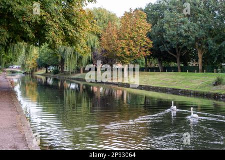 Der von Menschenhand geschaffene Royal Military Canal führt durch die Mitte von Hythe, einer Marktstadt an der Küste am Rande von Romney Marsh, im Stadtteil Folkestone Stockfoto