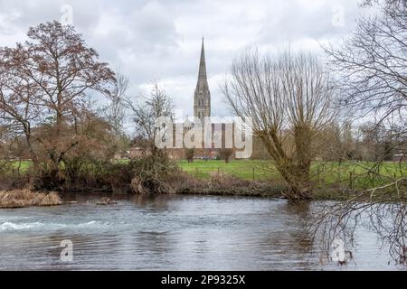 Blick auf die Kathedrale von Salisbury über den Fluss Avon Wiltshire England Stockfoto