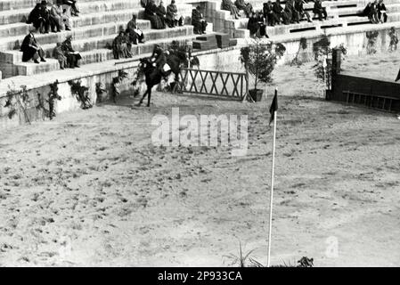 Verona - Fiera Cavalli 1939 - Gare all'interno dell'Arena Stockfoto