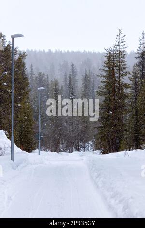 Winterlandschaft im Norden Schwedens. Wald in der Nähe von Kiruna Stockfoto