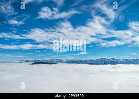 Schneebedeckte Berglandschaft über Wolken an sonnigen Wintertagen. Blick von Grünten auf die Allgäu-Alpen. Bayern, Deutschland Stockfoto