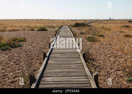 England, Kent, Dungeness, Holzsteg am Kieselstrand Stockfoto