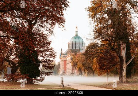Neuer Palast im Sanssouci Park in Potsdam im Herbst mit typischen Herbstfarben auf den Bäumen Stockfoto