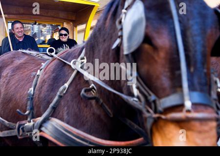 "Festa Dels Traginers´, fest der Muleteer in Balsareny. Comarca del Bages. Eix del Llobregat, Katalonien, Spanien. Stockfoto