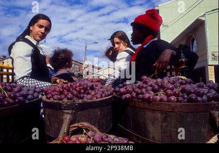 "Festa Dels Traginers´, fest der Muleteer in Balsareny. Comarca del Bages. Eix del Llobregat, Katalonien, Spanien. Stockfoto