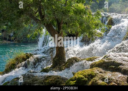 Kaskade am Skradinski Buk im Nationalpark Krka in der Nähe von Šibenik im Zentrum von Dalmatien, Kreis Šibenik-Knin, Kroatien Stockfoto