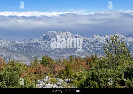 Blick über Velebit, die größte Bergkette in Kroatien und Teil der Dinarischen Alpen/Dinaride entlang der Adriaküste Stockfoto