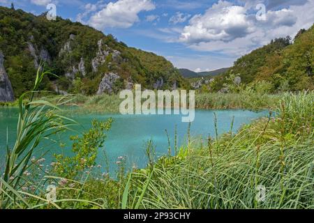 See im Nationalpark Plitvicer Seen / Nacionalni-Park Plitvička jezera im Kreis Lika-Senj, Kroatien Stockfoto