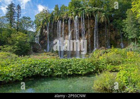 Wasserfall und grüner Tufa-See im Nationalpark Plitvicer Seen / Nacionalni-Park Plitvička Jezera im Kreis Lika-Senj, Kroatien Stockfoto