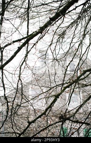 Haus im Schnee gleitet hinter Blattlosen Zweigen in Deutschland Stockfoto