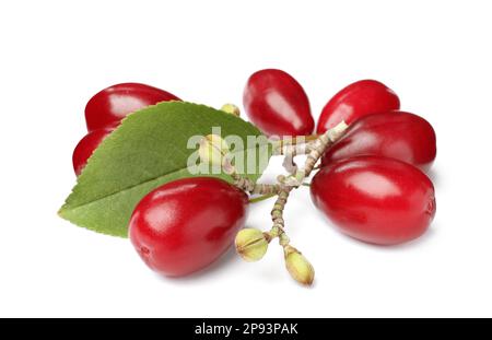 Frische reife Hundelbeeren mit grünen Blättern auf weißem Hintergrund Stockfoto