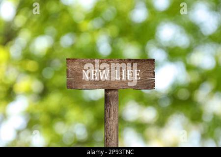 Beginnen Sie ohne Alkoholabhängigkeit zu leben. Hölzerner Wegweiser mit Inschrift „NEW LIFE“ auf unscharfem grünen Hintergrund Stockfoto