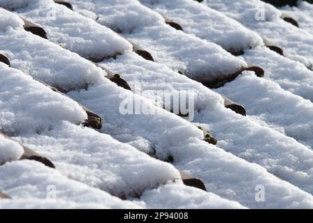 Schnee auf Dachziegeln Stockfoto