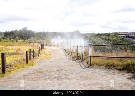 Wasserdampf am Rand von Kilauea Caldera, Hawai'i Volcanoes National Park, Big Island, Hawaii, USA, Polynesien, Ozeanien Stockfoto