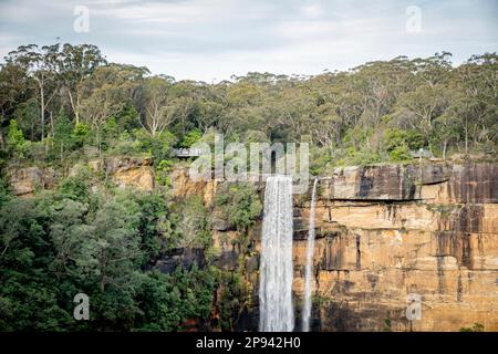 Fitzroy Falls, Wingecarribee Shire, Morton National Park, Southern Highlands, New South Wales, Australien Stockfoto