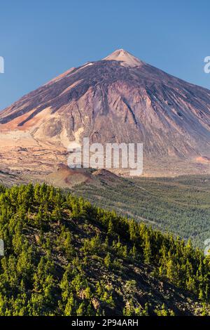 Blick auf den Teide von der Bergstraße TF-24, Teide-Nationalpark, Teneriffa, Kanarische Inseln, Spanien Stockfoto