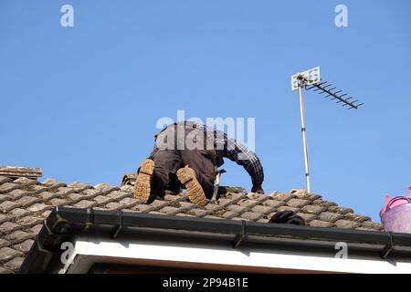 Ein Dachdecker, der Kammfliesen auf dem Dach eines Hauses repariert Stockfoto