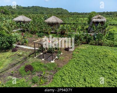 Nordamerika, Karibik, Großantillen, Hispaniola, Dominikanische Republik, Sama, junge Frau, entspannt in der riesigen Hängematte der Sama Eco Lodge nahe El Limón Stockfoto