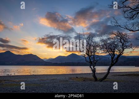 Silhouetten säumen das Ufer von Derwent bei Sonnenuntergang im Winter mit Cat Bells und Causey Pike im Hintergrund, Lake District, Cumbria, Englan Stockfoto