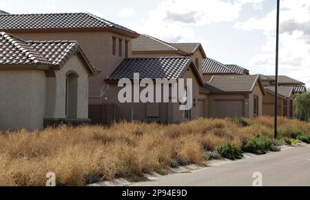 Weeds have taken over a row of vacant, new homes Tuesday, Feb. 17, 2009 in Gilbert, Ariz. With one of the highest foreclosure rates in the country, Arizona makes a fitting backdrop for President Barack Obama's new housing program, to be unveiled Wednesday. (AP Photo/Matt York)