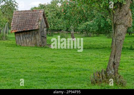 Eine ländliche Szene mit einem kleinen Schuppen auf einem Feld, mit Bäumen als malerische Kulisse Stockfoto