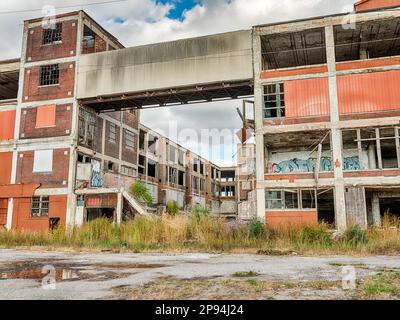 HAMTRAMCK, MICHIGAN - 24. OKTOBER 2020: Die Ruinen des alten Automobilwerks Packard in Hamtramck, Michigan, sind mit Büschen überwuchert. Stockfoto