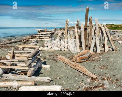 In South Beach auf San Juan Island wurden drei verschiedene Strandhäuser mit Treibholz gebaut. Stockfoto