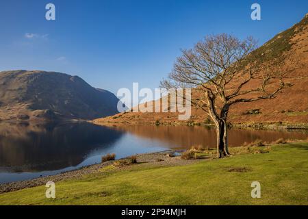 Das südliche Ufer von Crummock Water im Winter mit Melbreak im Hintergrund, Lake District, Cumbria, England Stockfoto