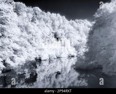Europa, Deutschland, Hessen, Mittelhessen, Region Lahn-Dill, Weilburg, Lahn Loop Stockfoto