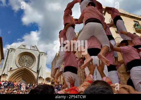 Xiquets de Tarragona.'Castellers' Gebäude menschlicher Turm, eine katalanische Tradition. Festa de Santa Tecla, Stadtfestival. Plaza de les Cols. Tarragona, Spanien Stockfoto