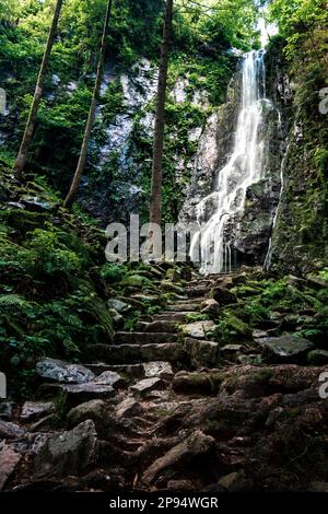 Wasserfall in unberührter Natur, ein alter Pfad mit Steintreppen führt zu einem magischen Wasserfall in einem grünen, überdachten Tal. Deutschland, Schwarzwald, Stockfoto